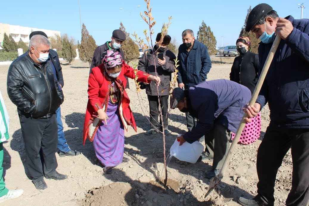 UNDP in Turkmenistan carried out an action to plant 5 000 varietal seedlings of fruit trees