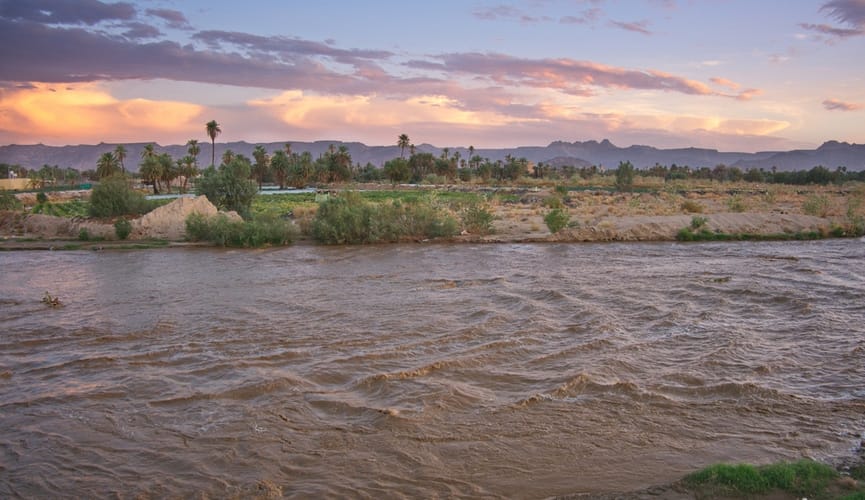 Saud Arabystanyndaky çöli çabga gark etdi