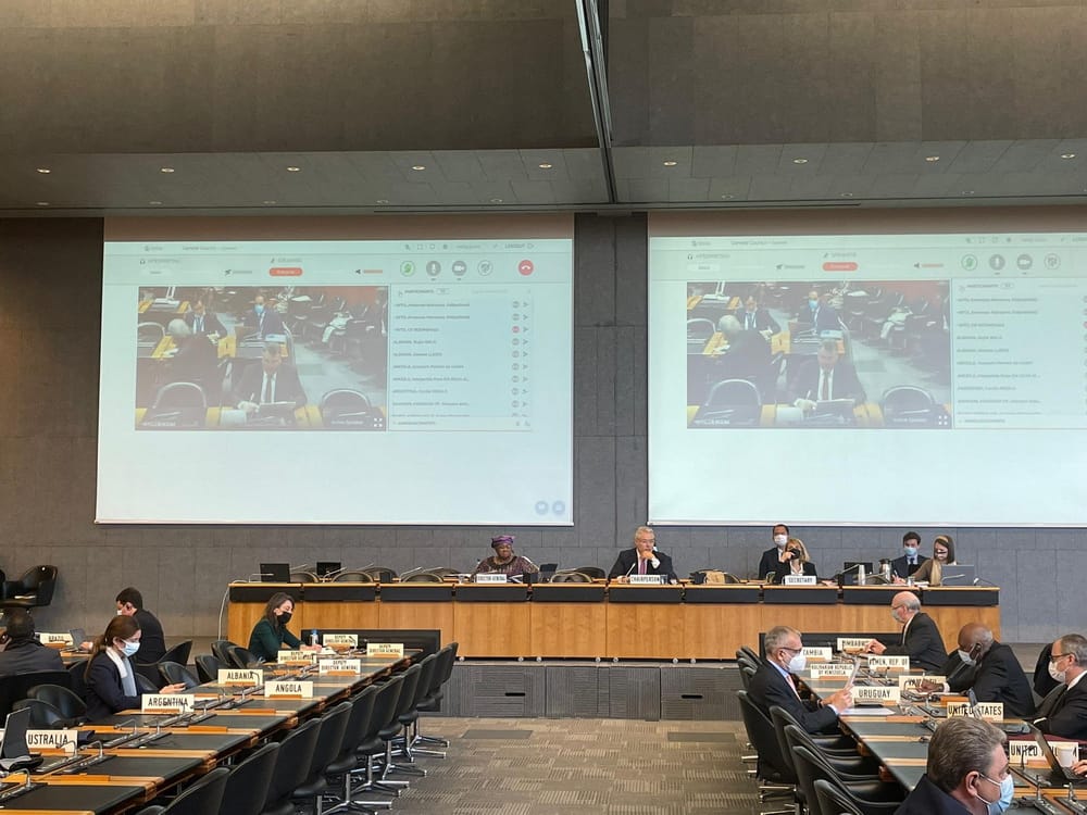 Working Group on Turkmenistan's accession to the WTO established