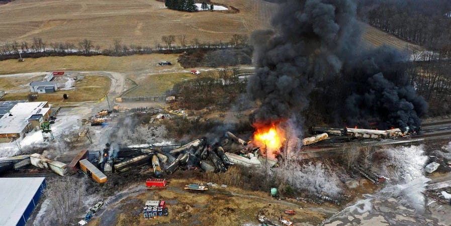 Animals die en masse at the site of a man-made disaster in Ohio