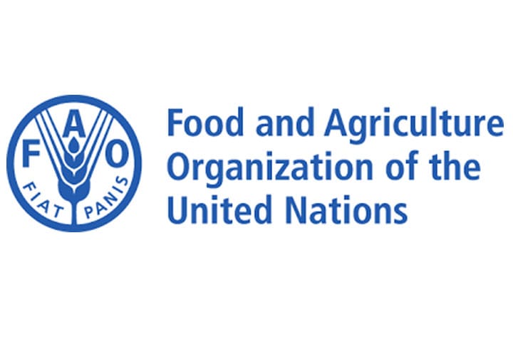 Представители ФАО проведут в Туркменистане десять вебинаров