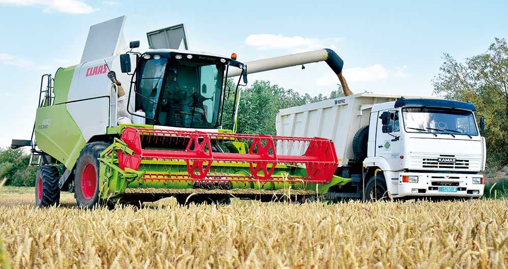 Хлеборобы Туркменистана выполнили госзаказ, собрав 1 миллион 500 тысяч тонн пшеницы