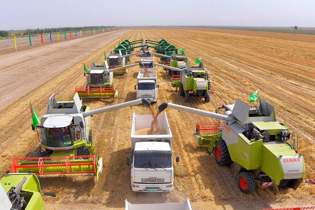 В Дашогузском и Балканском велаятах приступили к сбору пшеницы