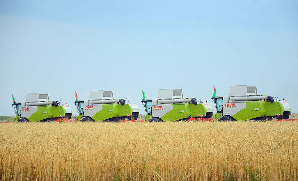 Жатва хлебов в Лебапском велаяте вступила в завершающую фазу