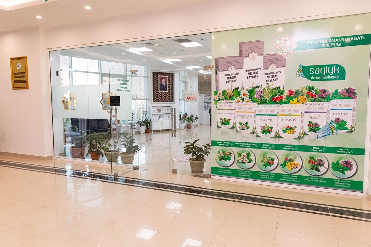 «Dostlukly zähmet» dermanhana poster