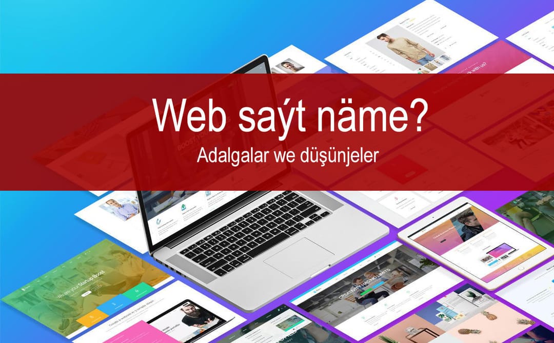 Web saýt näme we onuň görnüşleri. Adalgalar we düşünjeler