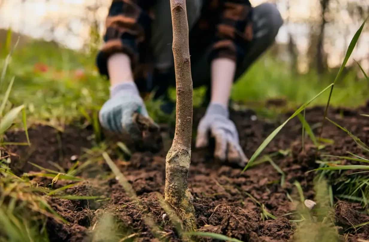 Культура и отдых