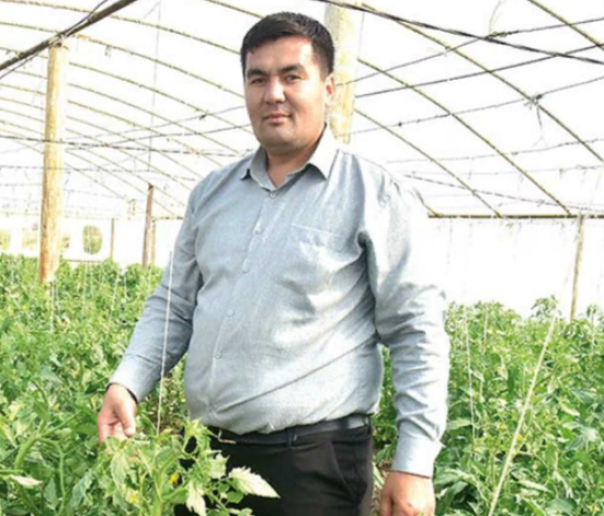 Фермер из Лебапа намерен собрать со своей теплицы 160 тонн овощей