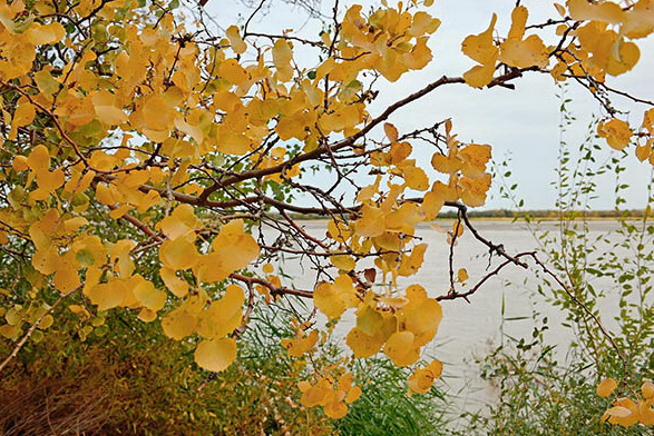 Mekdep okuwçylarynyň arasynda howanyň üýtgemegi temasynda surat çekmek boýunça bäsleşik yglan edildi