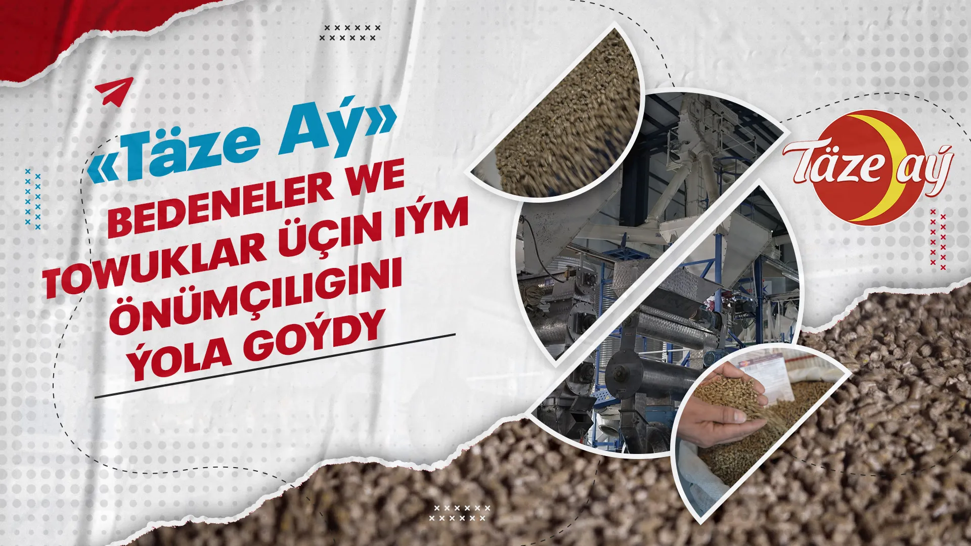 "Täze Aý" bedenler we towuklar üçin iým önümçiligini ýola goýdy