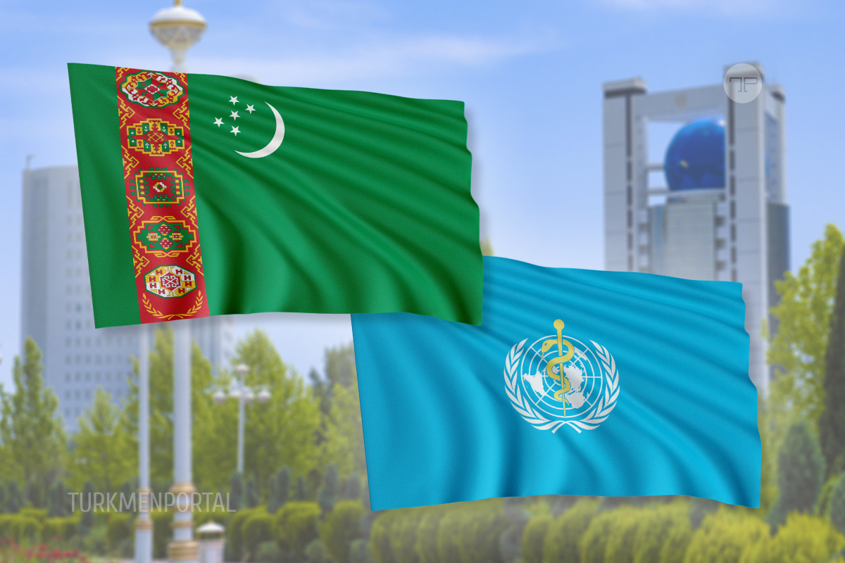 Turkmenistan and WHO discussed ways to increase the capacity of the ...