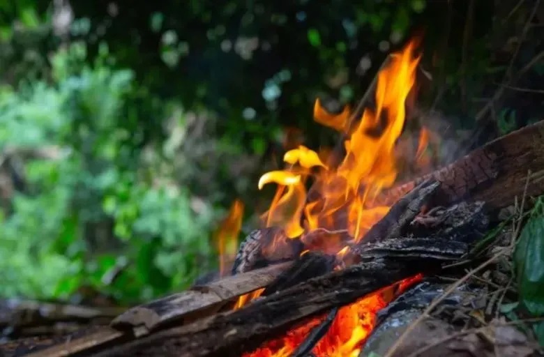 В турецкой Анталии тушат природные пожары