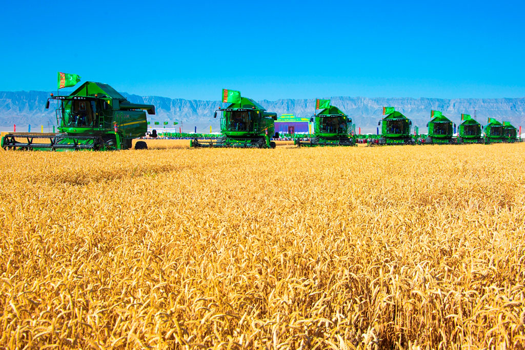 1 5 млн тонн. Жатва пшеницы в Туркменистане. Ашхабад сельское хозяйство. Сельскохозяйство Туркмении. Аграрный сектор Туркмении.