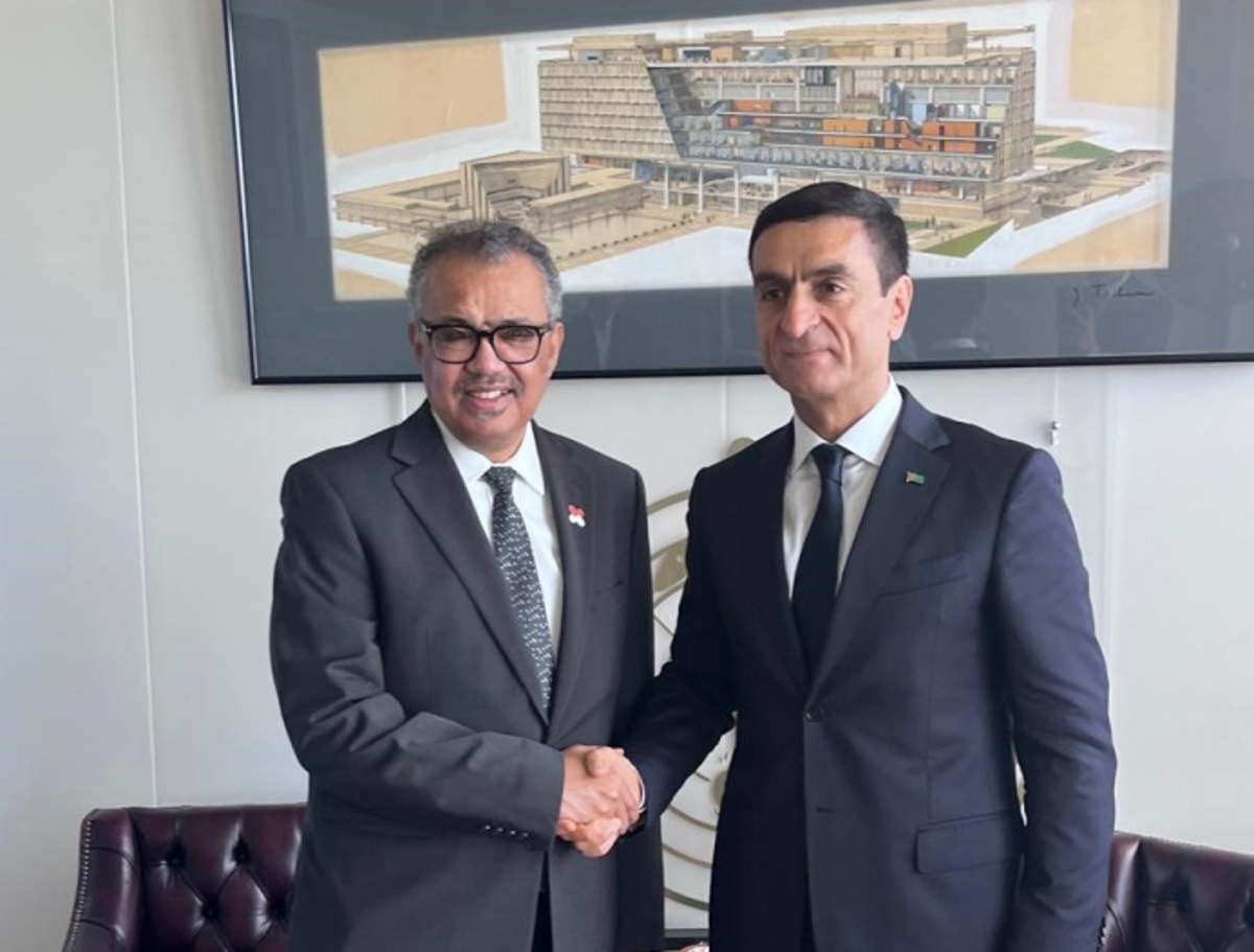 Turkmenistan and WHO discussed cooperation in the field of health ...