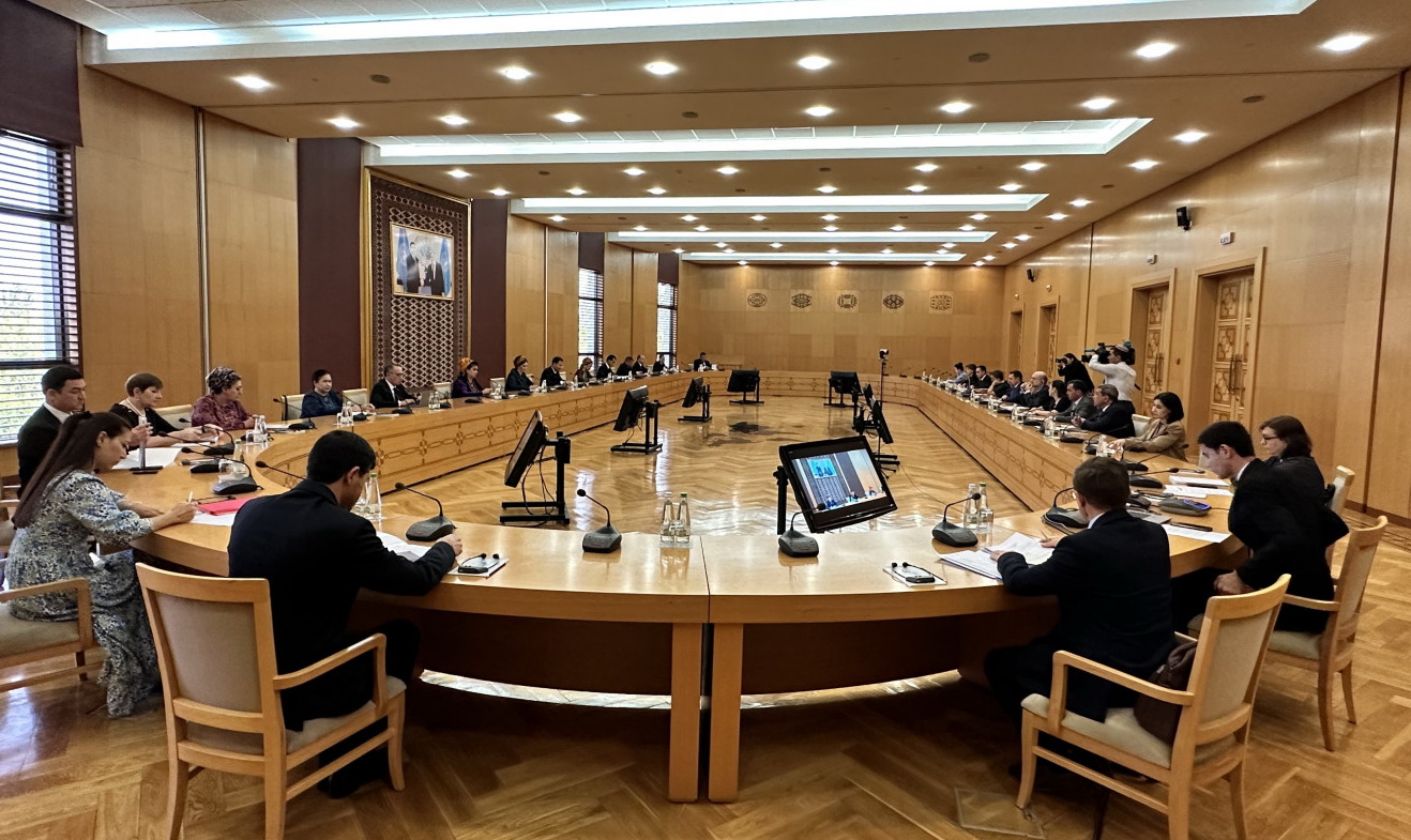 Durnukly Ösüş Maksatlaryny durmuşa geçirmek boýunça Milli iş toparynyň tegelek stolunyň bilelikdäki mejlisi geçirildi