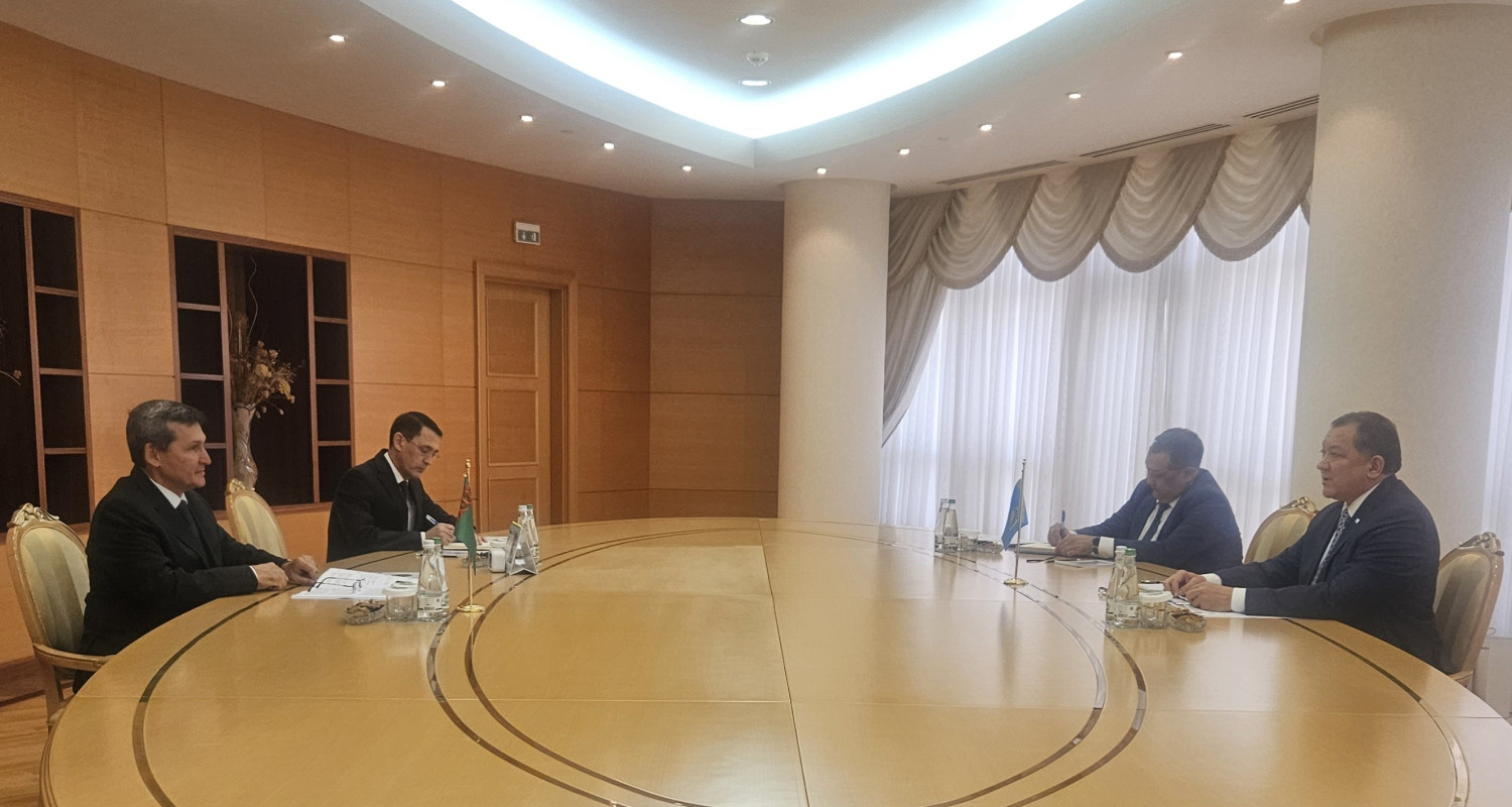 The head of the Ministry of Foreign Affairs of Turkmenistan accepted ...