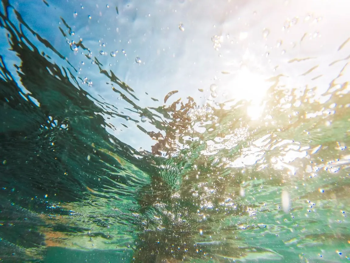 Дика вода