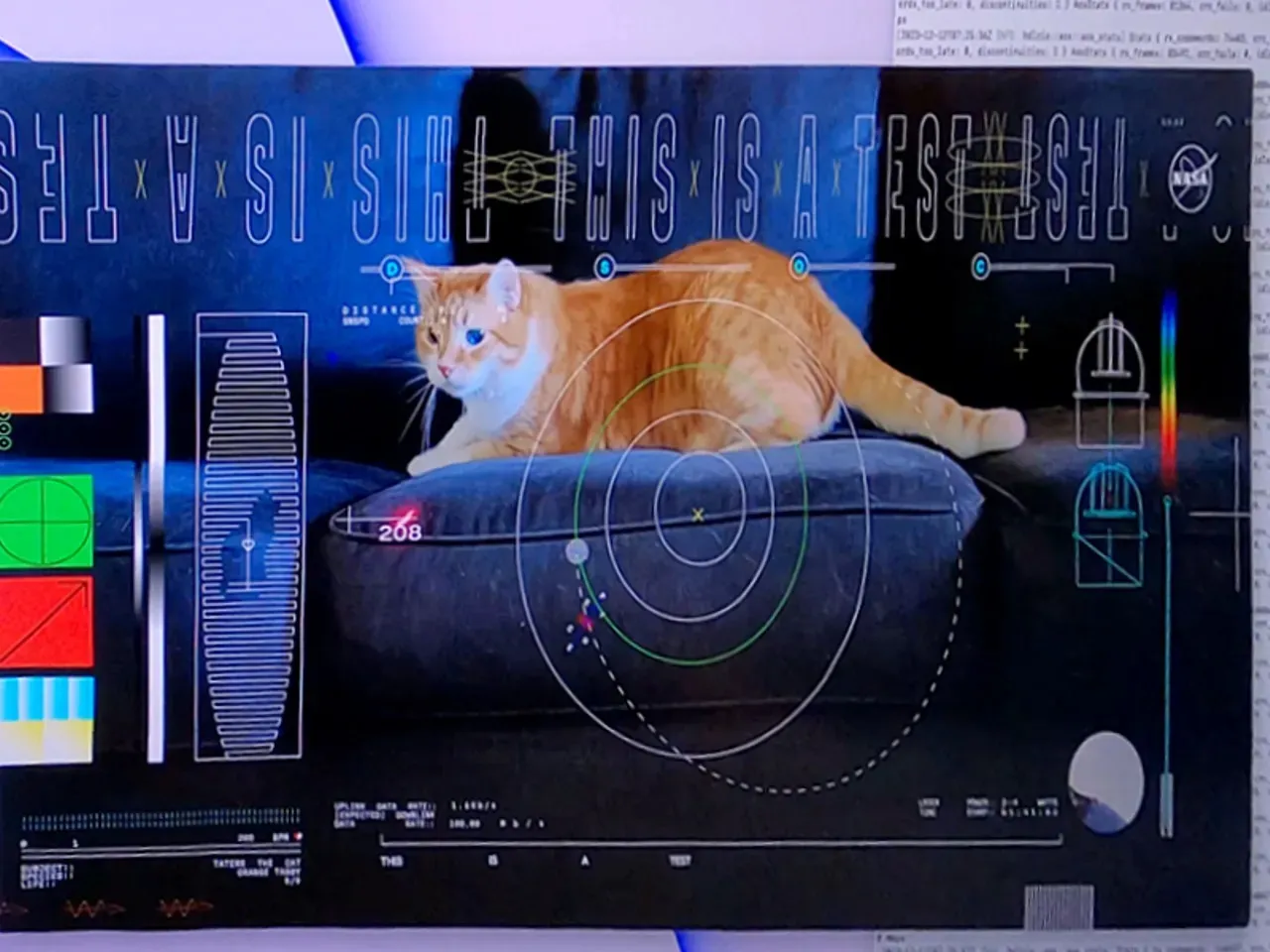 NASA передало на Землю видео с котом с расстояния 31 миллион километров | В  мире