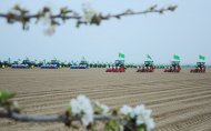 Photoreport: сotton planting has begun in four velayats of Turkmenistan