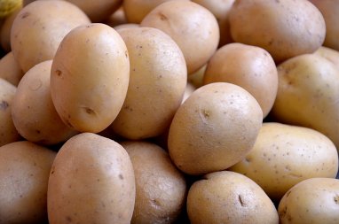 Орловская область отправила в Туркменистан 60 тонн картофеля
