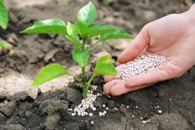 Turkmenistan plans to build a new complex for the production of mineral fertilizers