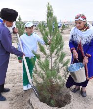 Фоторепортаж: Президент Туркменистана посадил 30 саженцев деревьев, дав старт осенней озеленительной кампании