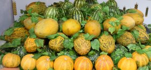 Совет от продавца туркменских дынь: как выбрать самый вкусный плод