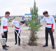 Фоторепортаж: Президент Туркменистана посадил 30 саженцев деревьев, дав старт осенней озеленительной кампании