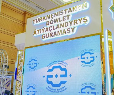 The state insurance organization of Turkmenistan will receive an international rating