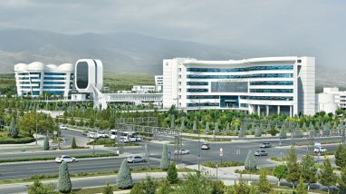 В Туркменистане появится медицинская средняя профессиональная школа имени Сачлы Дурсуновой