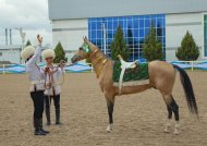 Türkmenistanda geçirilen ahalteke atlarynyň halkara gözellik bäsleşiginden