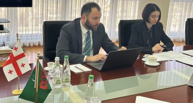 Туркменистан и Грузия провели в Ашхабаде межмидовские консультации