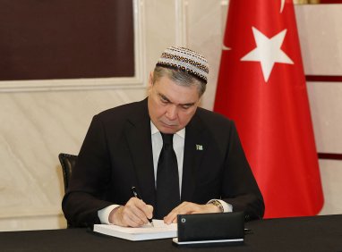 Гурбангулы Бердымухамедов: Бедствие в Турции затронуло и граждан Туркменистана