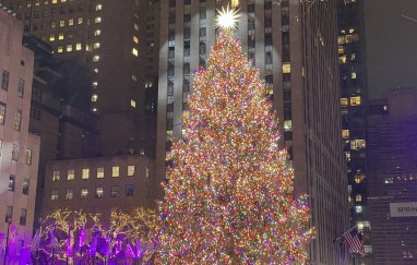 The main Christmas tree was lit in New York