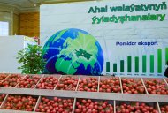 Fotoröportaj: Agro Pack Türkmenistan ve Türkmen Gıda Fuarı Aşkabat'ta başladı