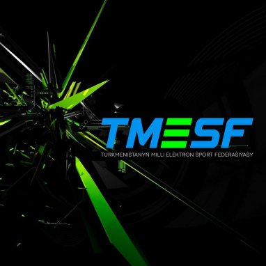 The Turkmenistan National Electronic Sports Federation launches a program to promote women's Esports