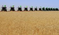 Фоторепортаж: В Дашогузском и Балканском велаятах началась уборка урожая зерновых