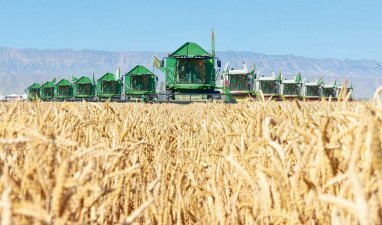 Balkan we Daşoguz welaýatlarynyň gallaçylary şertnamalaýyn borçnamalaryny üstünlikli ýerine ýetirdiler