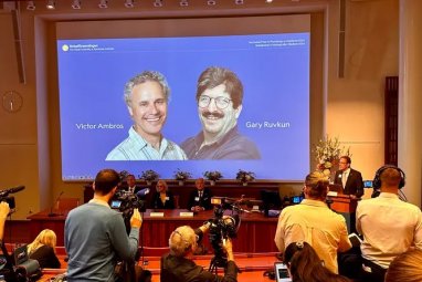 American scientists awarded Nobel Prize for breakthrough in understanding gene regulation