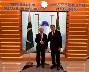 В МИД Туркменистана обсудили реализацию проектов ТАПИ и ТАП