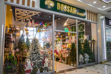 Purchase Christmas trees at a discount in Bossan Concept stores