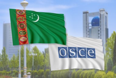 Туркменистан реализует с ОБСЕ 37 совместных проектов в 2024 году