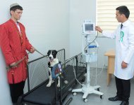 Photoreport: Turkmenistan's first innovative veterinary clinic opened