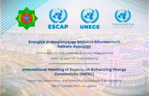 Ashgabat hosts a meeting of experts on enhancing energy connectivity