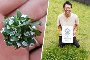 Japanese gardener grows 63-leaf clover