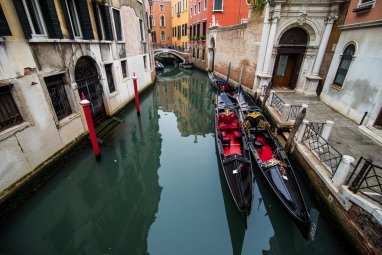 The authorities of Venice are trying to find out the reason for the coloring of water in green in one of the canals
