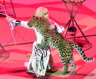 Фоторепортаж: В Туркменистане начинаются гастроли российского цирка