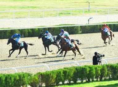 Photoreport: Horse racing was held in Ashgabat in honor of the Harvest Festival