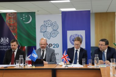 UNDP and the British Embassy in Turkmenistan held a climate group meeting