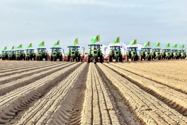 Президент Туркменистана заслушал отчет о ходе сельхозкампаний в стране